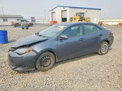 5YFBURHE0JP807241 2018 TOYOTA COROLLA