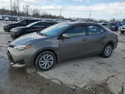 5YFBURHE1KP920570 2019 TOYOTA COROLLA
