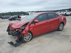 5YFBURHE5KP872698 2019 TOYOTA COROLLA