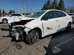 5YFBURHEXGP421189 2016 TOYOTA COROLLA