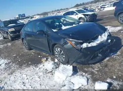 5YFEPRAE8LP031717 2020 TOYOTA COROLLA