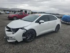5YFS4MCE8SP243608 2025 TOYOTA COROLLA