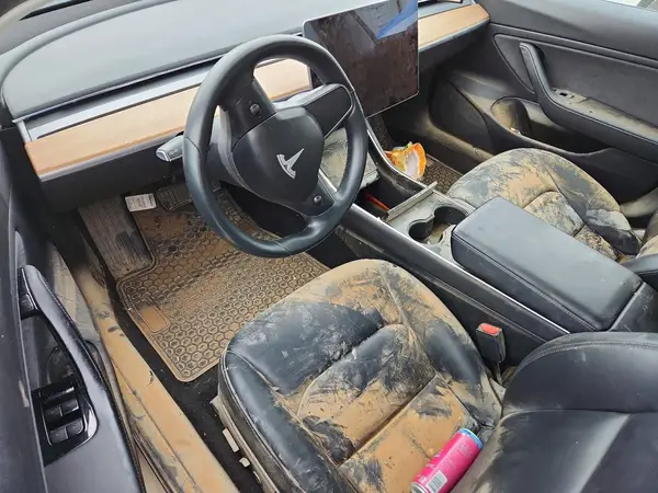 5YJ3E1EA0KF306688 2019 TESLA MODEL 3 - Image 8