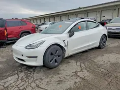 5YJ3E1EA0LF504981 2020 TESLA MODEL 3