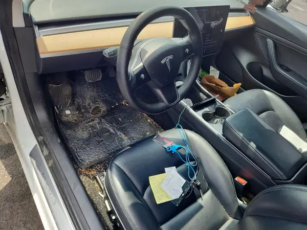 5YJ3E1EA0LF659076 2020 TESLA MODEL 3 - Image 8