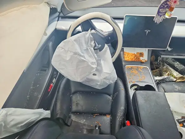 5YJ3E1EA0MF081711 2021 TESLA MODEL 3 - Image 8