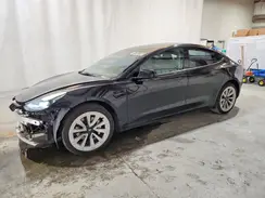 5YJ3E1EA0PF429463 2023 TESLA MODEL 3