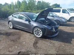 5YJ3E1EA0PF430340 2023 TESLA MODEL 3