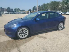 5YJ3E1EA0PF450250 2023 TESLA MODEL 3