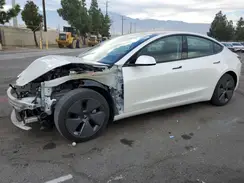 5YJ3E1EA0PF465217 2023 TESLA MODEL 3
