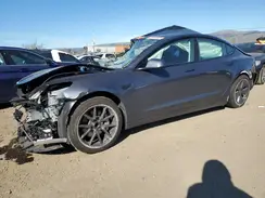 5YJ3E1EA0PF485516 2023 TESLA MODEL 3