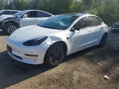 5YJ3E1EA0PF488142 2023 TESLA MODEL 3