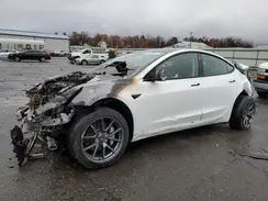 5YJ3E1EA0PF513119 2023 TESLA MODEL 3