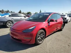 5YJ3E1EA0PF542491 2023 TESLA MODEL 3