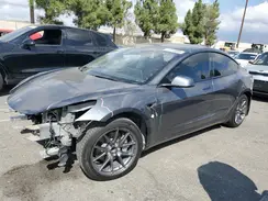5YJ3E1EA0PF544113 2023 TESLA MODEL 3