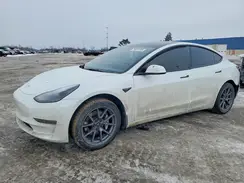 5YJ3E1EA0PF586071 2023 TESLA MODEL 3