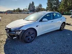 5YJ3E1EA0PF607159 2023 TESLA MODEL 3