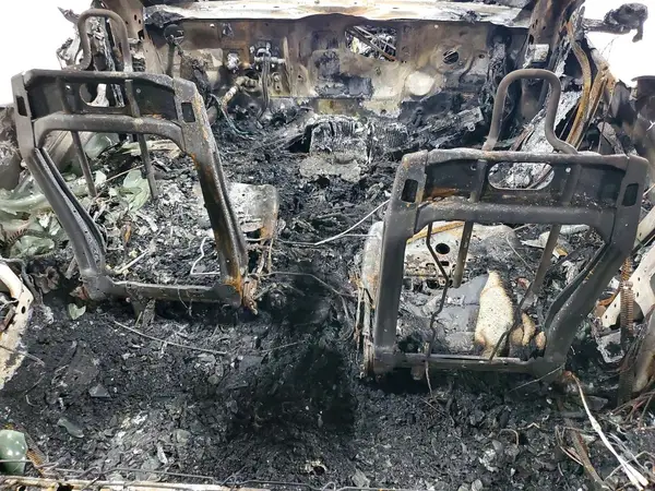 5YJ3E1EA0PF621742 2023 TESLA MODEL 3 - Image 8