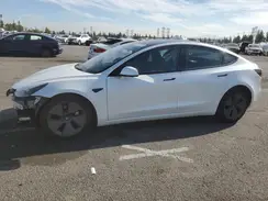 5YJ3E1EA0PF681536 2023 TESLA MODEL 3