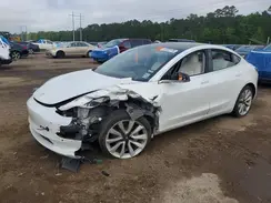 5YJ3E1EA1LF591239 2020 TESLA MODEL 3