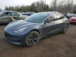 5YJ3E1EA1LF625339 2020 TESLA MODEL 3