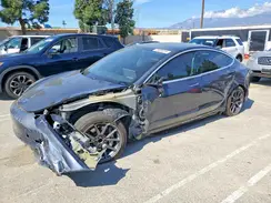5YJ3E1EA1LF630220 2020 TESLA MODEL 3