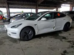 5YJ3E1EA1LF644781 2020 TESLA MODEL 3