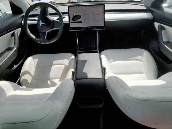 5YJ3E1EA1LF709953 2020 TESLA MODEL 3 - Image 8