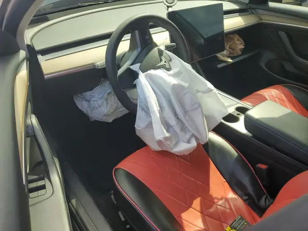5YJ3E1EA1MF095911 2021 TESLA MODEL 3 - Image 8