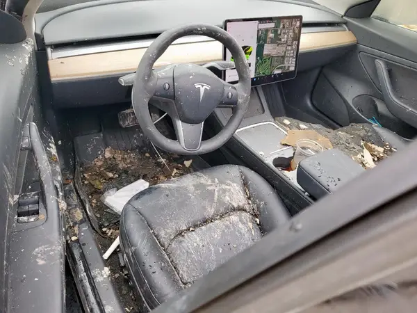 5YJ3E1EA1MF911628 2021 TESLA MODEL 3 - Image 8