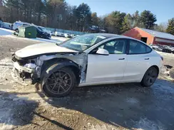5YJ3E1EA1NF119481 2022 TESLA MODEL 3