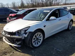 5YJ3E1EA1PF448362 2023 TESLA MODEL 3
