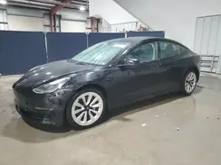 5YJ3E1EA1PF452122 2023 TESLA MODEL 3