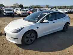 5YJ3E1EA1PF497920 2023 TESLA MODEL 3