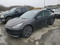 5YJ3E1EA1PF508981 2023 TESLA MODEL 3