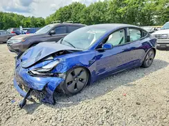 5YJ3E1EA1PF600379 2023 TESLA MODEL 3