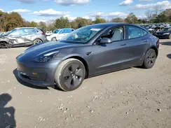 5YJ3E1EA1PF619031 2023 TESLA MODEL 3