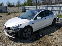 5YJ3E1EA1PF647134 2023 TESLA MODEL 3