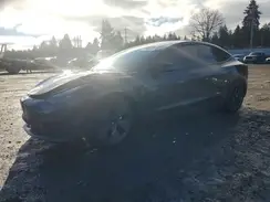 5YJ3E1EA1PF674983 2023 TESLA MODEL 3