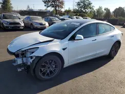 5YJ3E1EA1PF710543 2023 TESLA MODEL 3