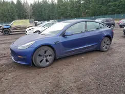 5YJ3E1EA1PF710557 2023 TESLA MODEL 3