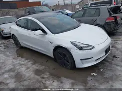 5YJ3E1EA2LF715616 2020 TESLA MODEL 3