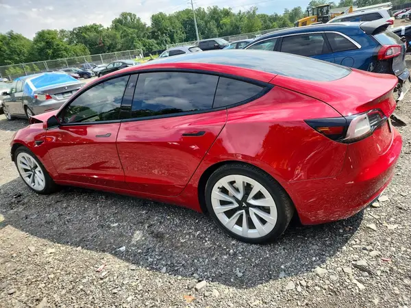 5YJ3E1EA2MF029268 2021 TESLA MODEL 3 - Image 2