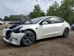 5YJ3E1EA2MF962605 2021 TESLA MODEL 3