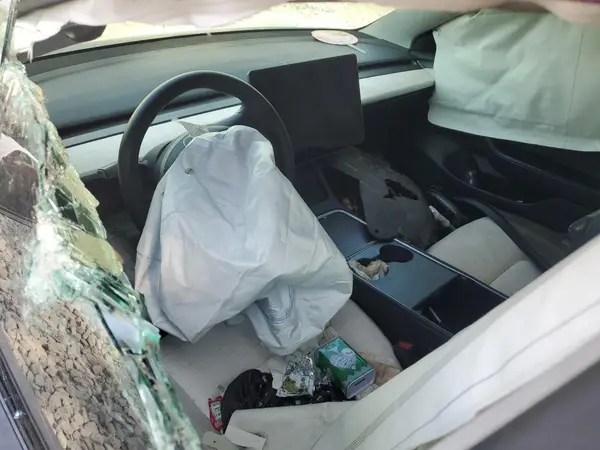 5YJ3E1EA2MF989870 2021 TESLA MODEL 3 - Image 8