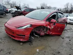 5YJ3E1EA2PF395557 2023 TESLA MODEL 3