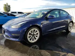 5YJ3E1EA2PF448192 2023 TESLA MODEL 3