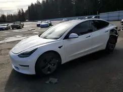 5YJ3E1EA2PF481189 2023 TESLA MODEL 3