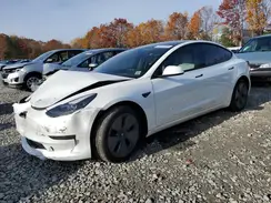 5YJ3E1EA2PF499174 2023 TESLA MODEL 3