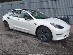 5YJ3E1EA2PF499384 2023 TESLA MODEL 3